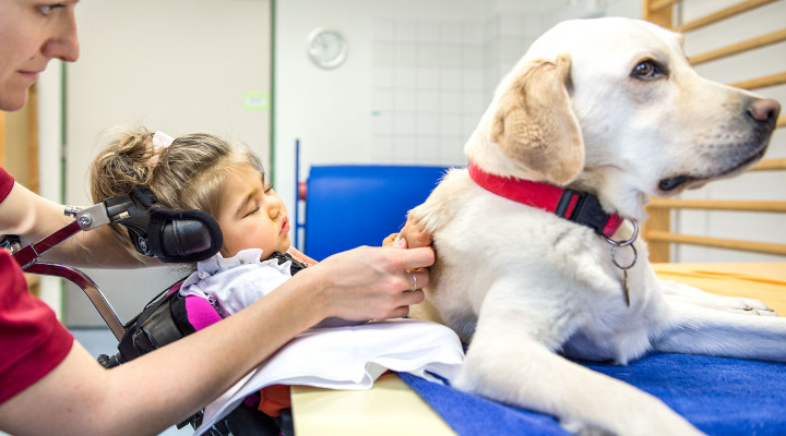Kinder-Reha Schweiz, Hundetherapie, Therapeutin und Patientin streicheln Hund