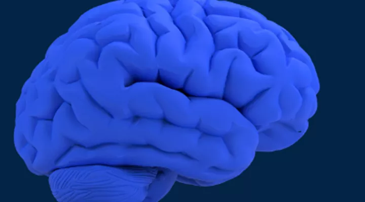 Ein blaues Hirn vor dunklem Hintergrund.