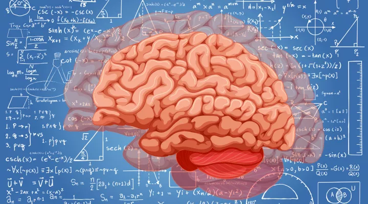 Abbildung: Hirn vor einer komplizierten Rechnung