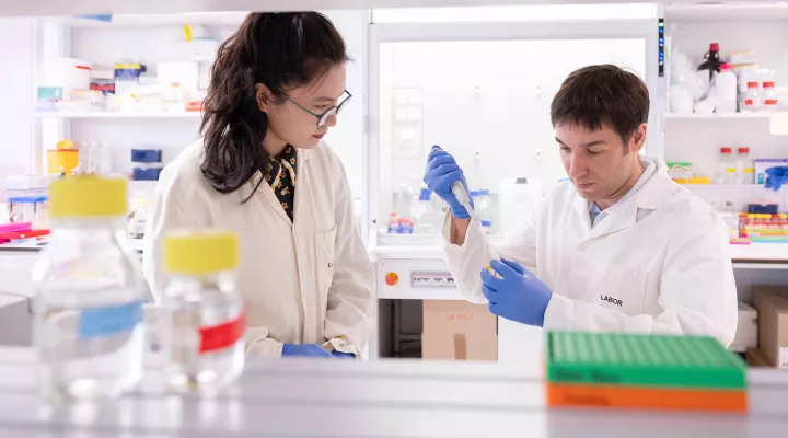 Eine Forscherin und ein Forscher sitzen in einem Labor und arbeiten mit Tumorzellen