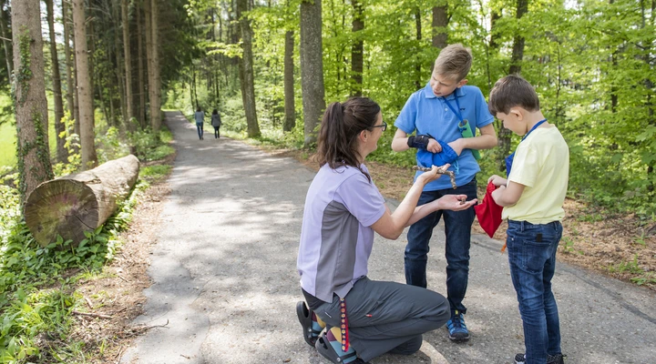 Eine Therapeutin und zwei junge Patienten stehen im Wald und sammeln Materialien