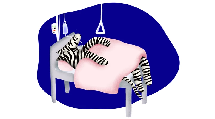 Eine Illustration eines Zebras in einem Spitalbett