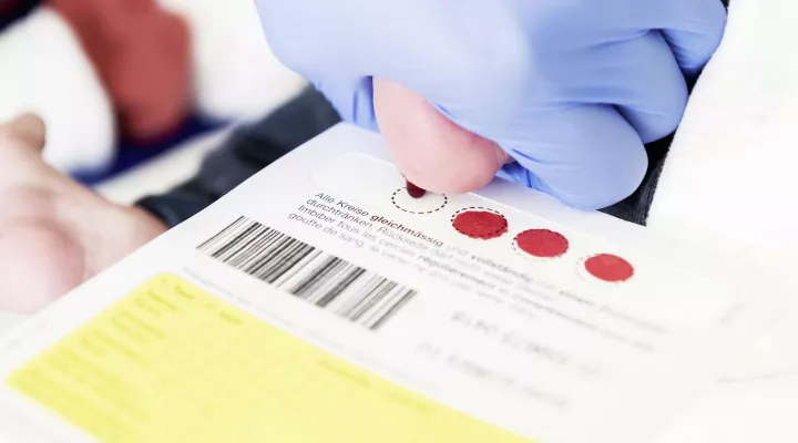 Blutentnahme Neoscreening