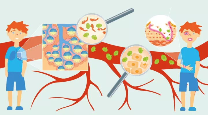 Bluttest Illustration