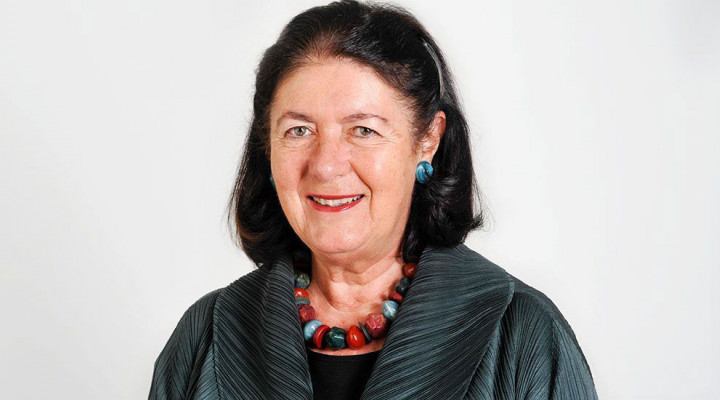 Françoise de Vries, Steuerungsausschuss Bau