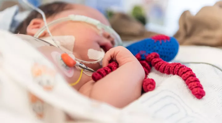 Ein neugeborenes Kind auf der Neonatologie hält ein gestricktes Herz in er Hand um den Greifreflex zu unterstützen