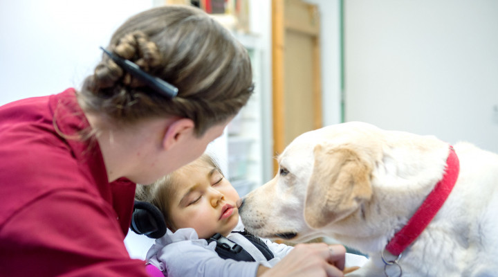 Kinder-Reha Schweiz, Hundetherapie, Therapeutin und Patientin streicheln Hund