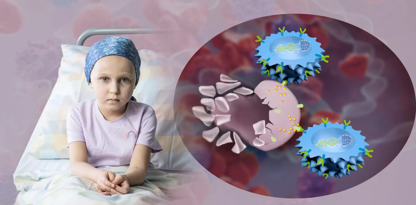 Car-T-Zell-Therapie in der Krebsmedizin