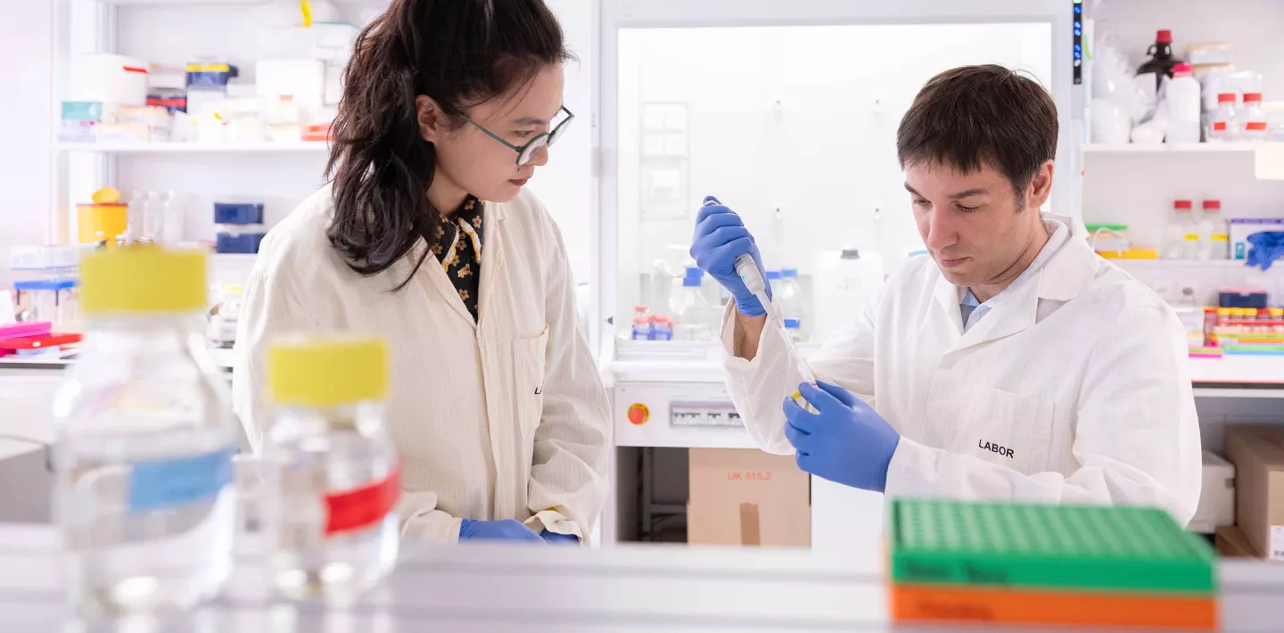 Eine Forscherin und ein Forscher sitzen in einem Labor und arbeiten mit Tumorzellen