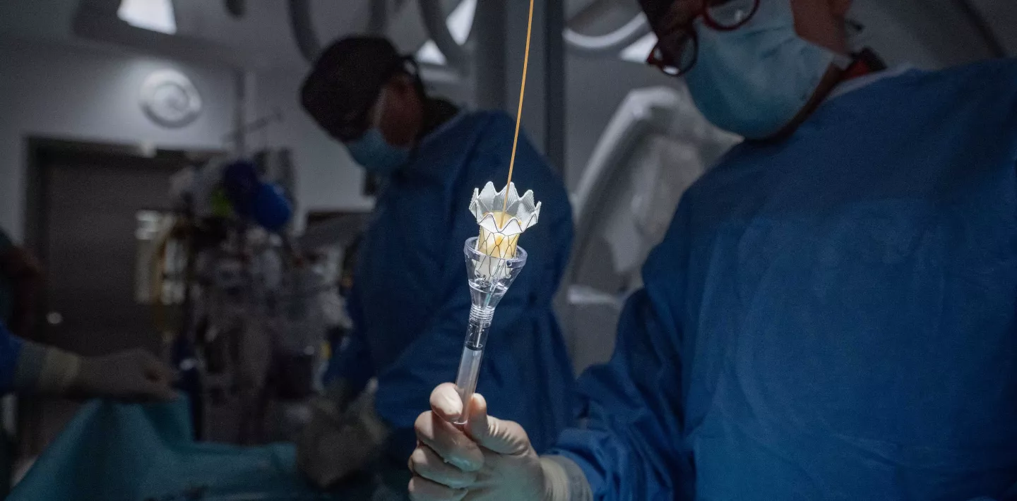 Ein selbstexpandierendes Metallgerüst mit einer eingenähten biologischen Herzklappe