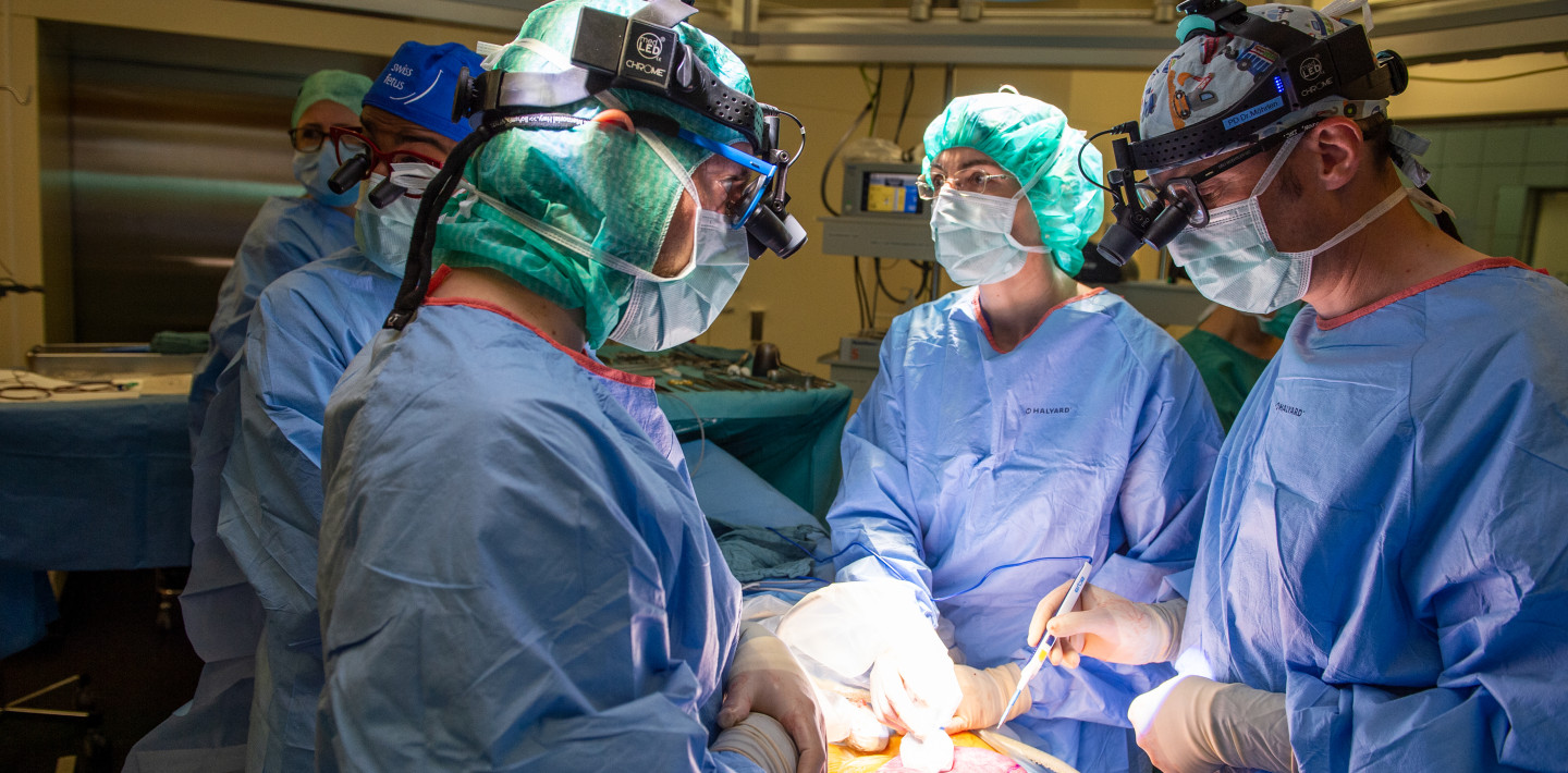 Ärzte in blauer Uniform, mit Masken und grünen Hauben stehen um einen OP-Tisch, darauf ist eine offene Gebärmutter zu erkennen.