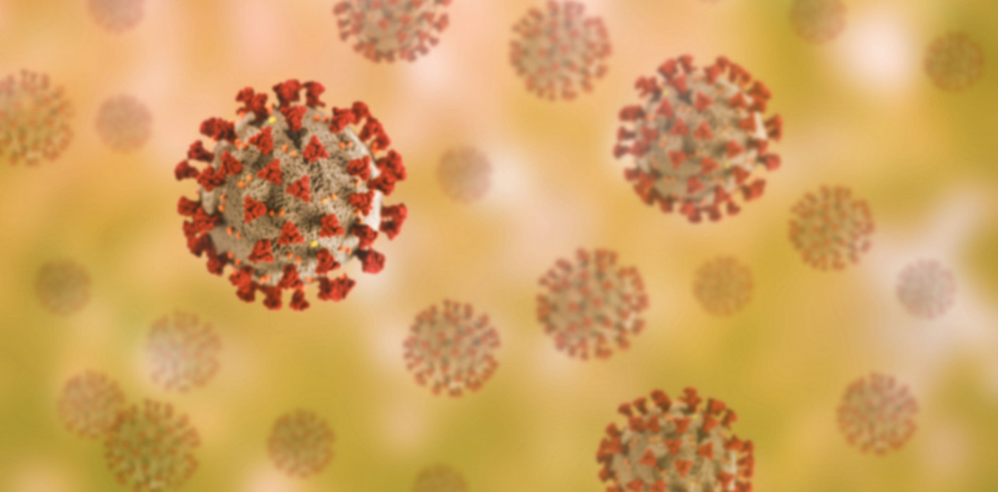 Graue Viren mit roten Noppen vor grüngelbem Hintergrund.