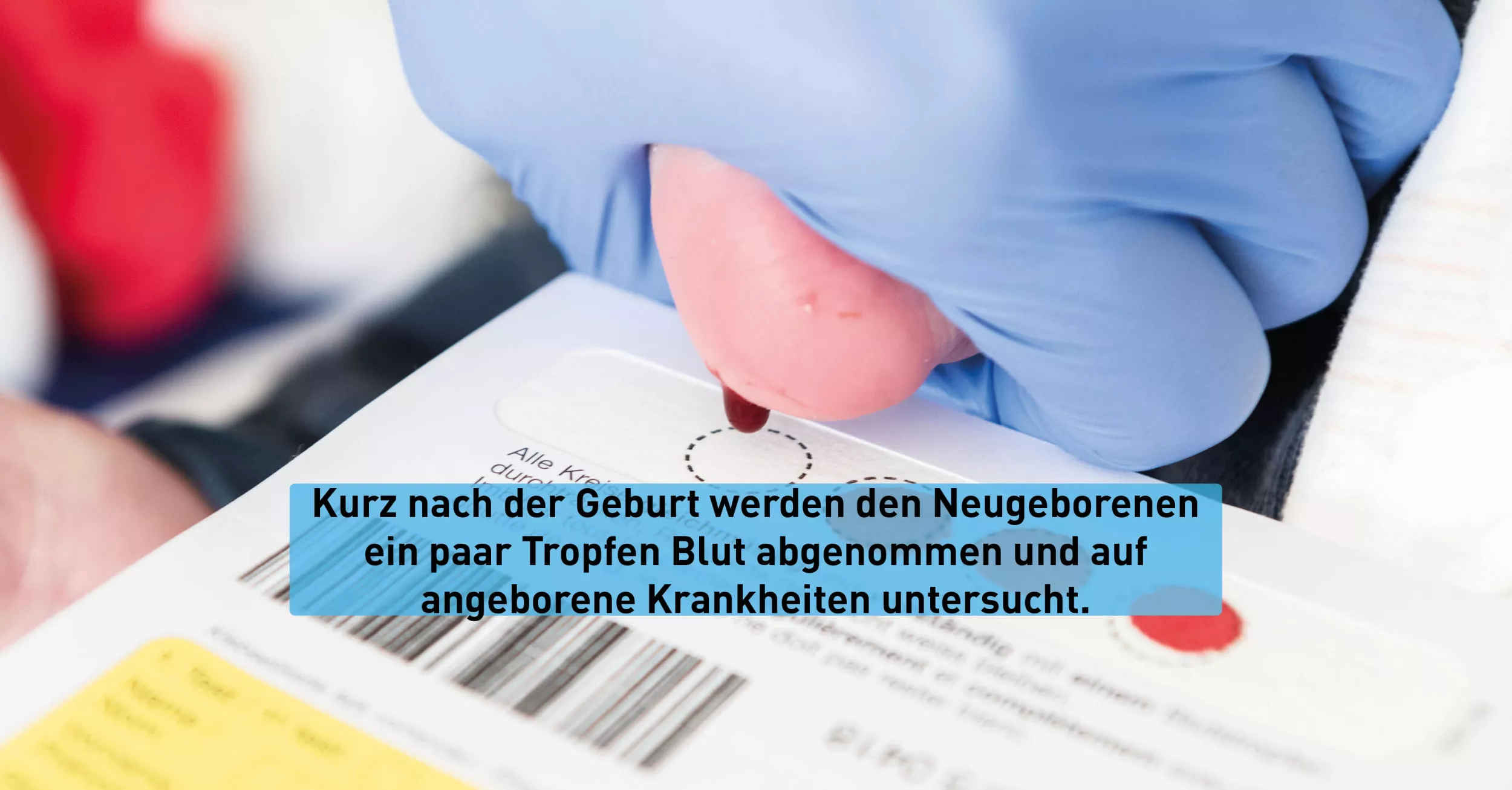Eine Hand mit Handschuhe hält einen Babyfuss fest. Es werden einzelne Tropfen Blut für das Neugeborenen-Screening abgegeben.