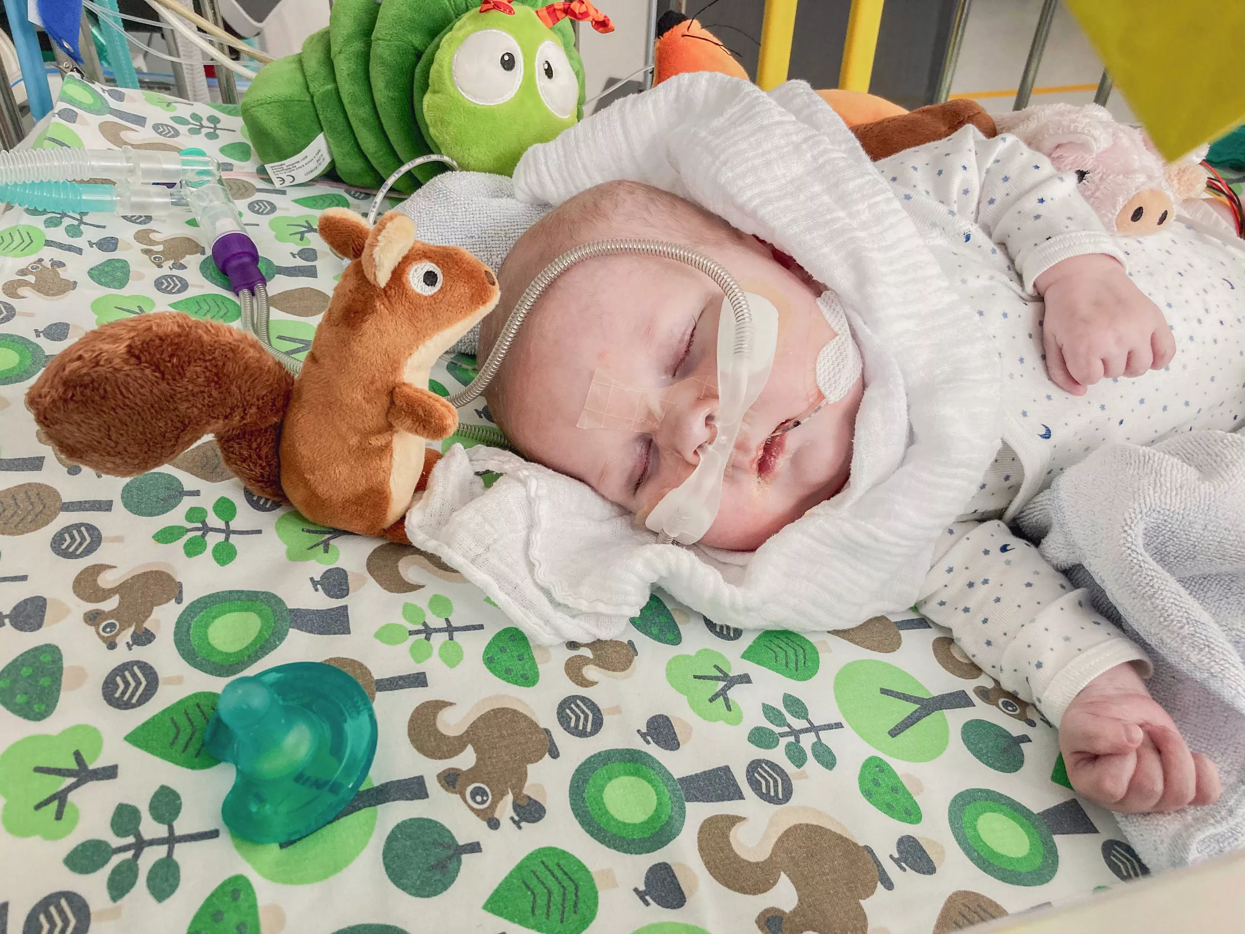 Baby Frederik liegt im Spitalbett