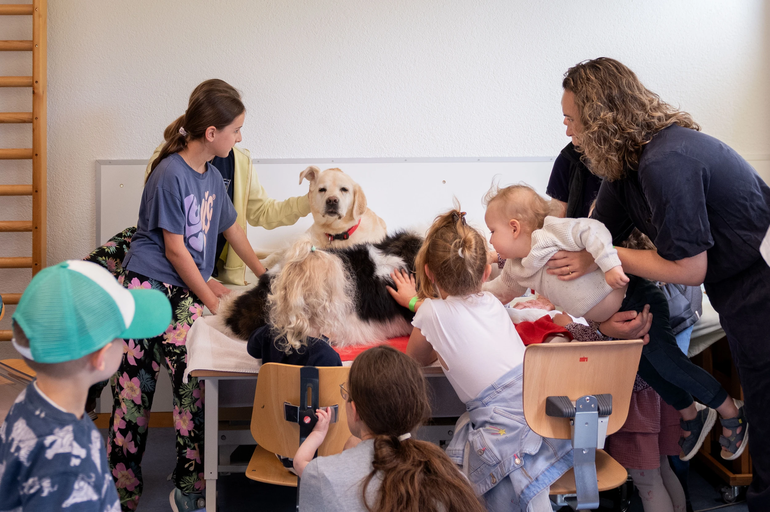 Kinder und Erwachsene streicheln Therapiehunde in der Kinder-Reha Schweiz