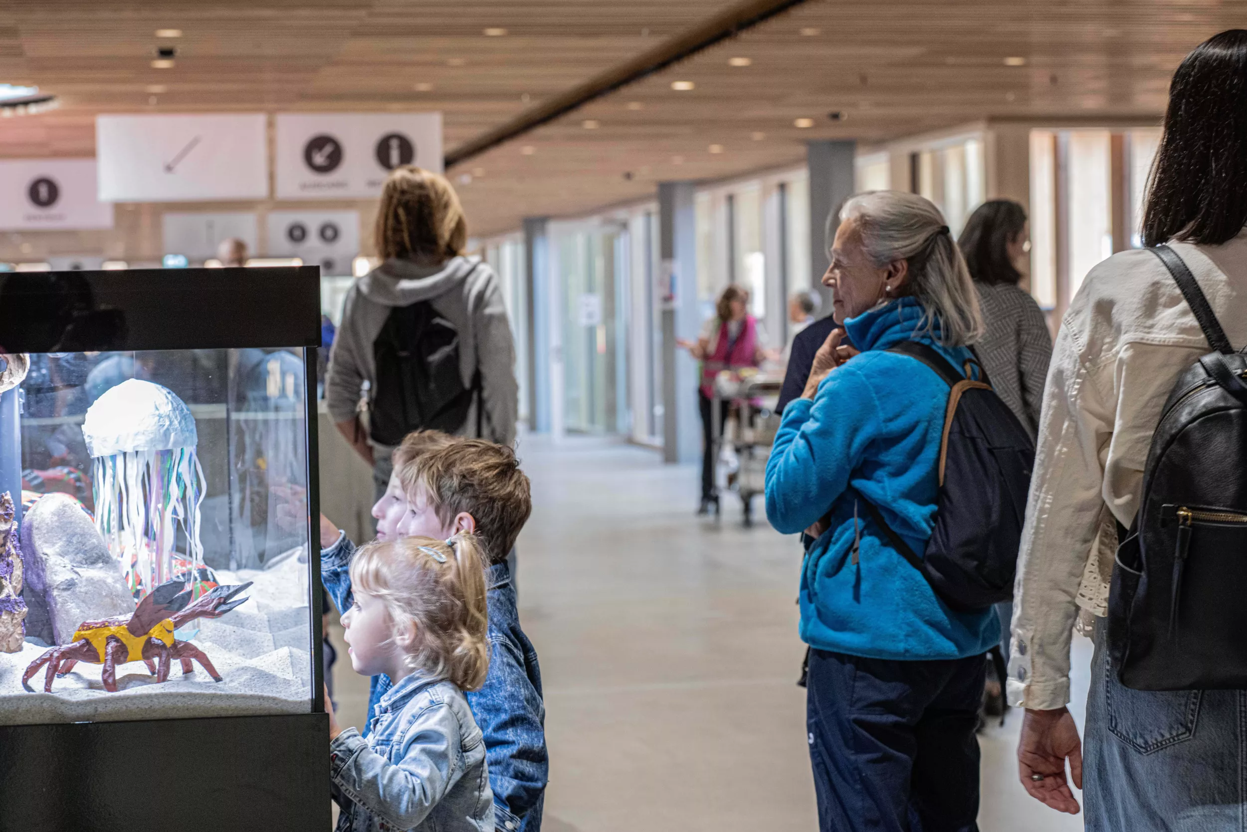 Kinder bestaunen Aquarium