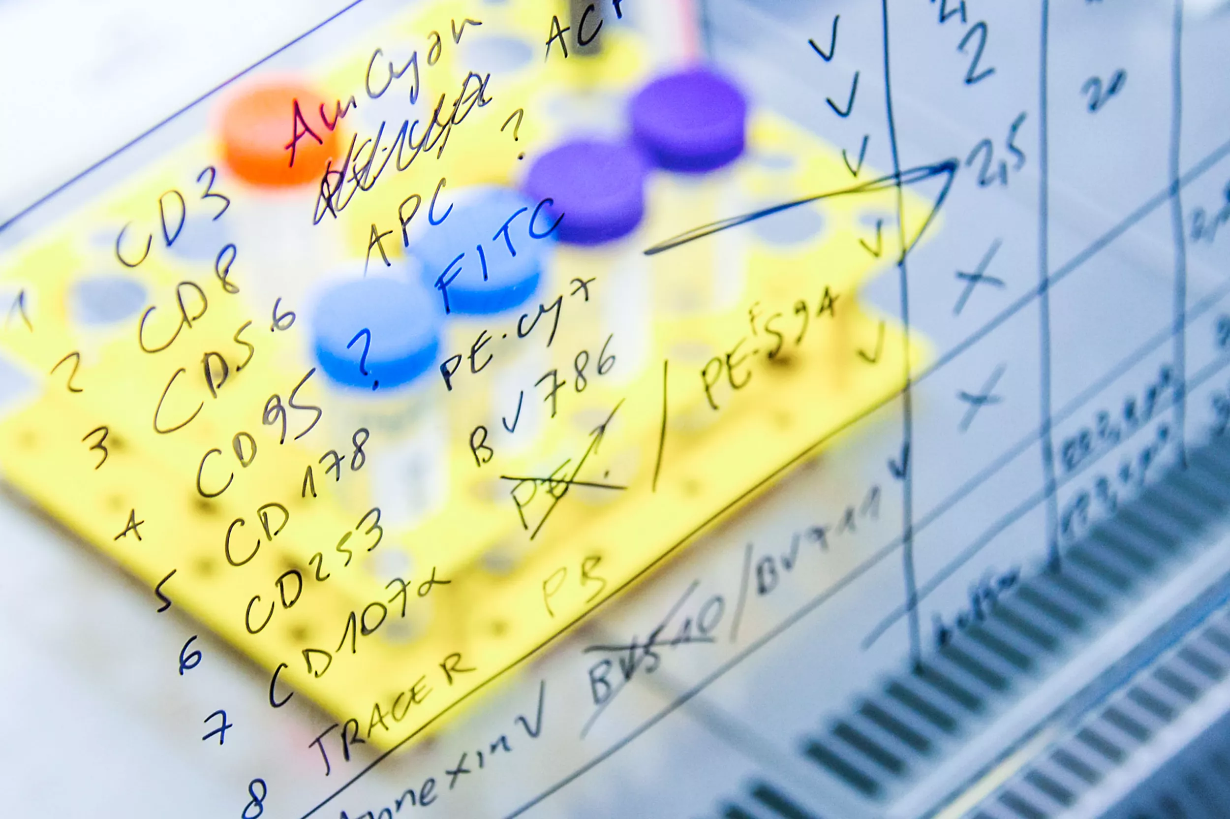 Forschung Immunologie, Pipettierschema auf Sicherheitswerkbankscheibe