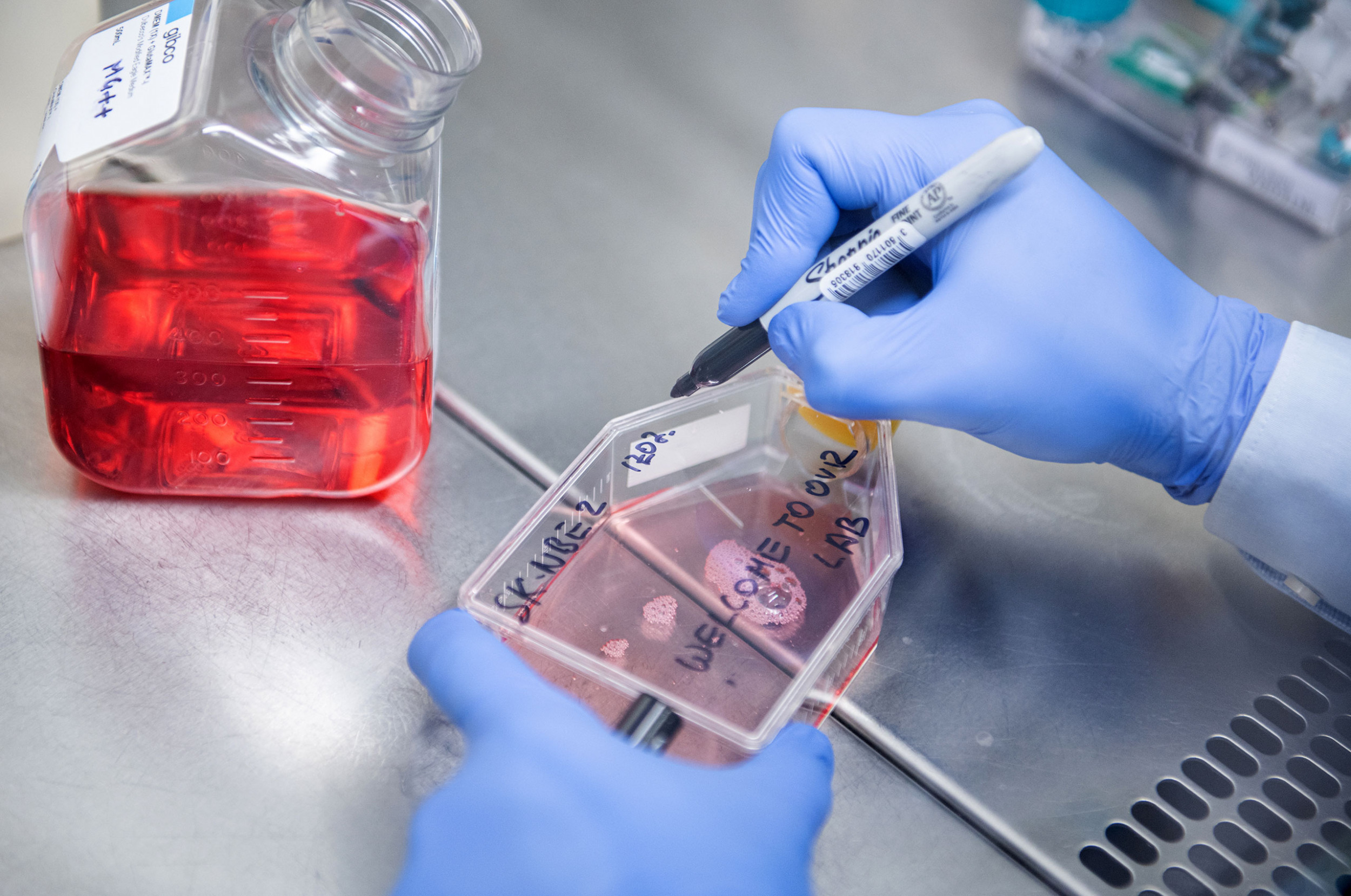 Ein Forscher beschriftet eine Dose im Labor