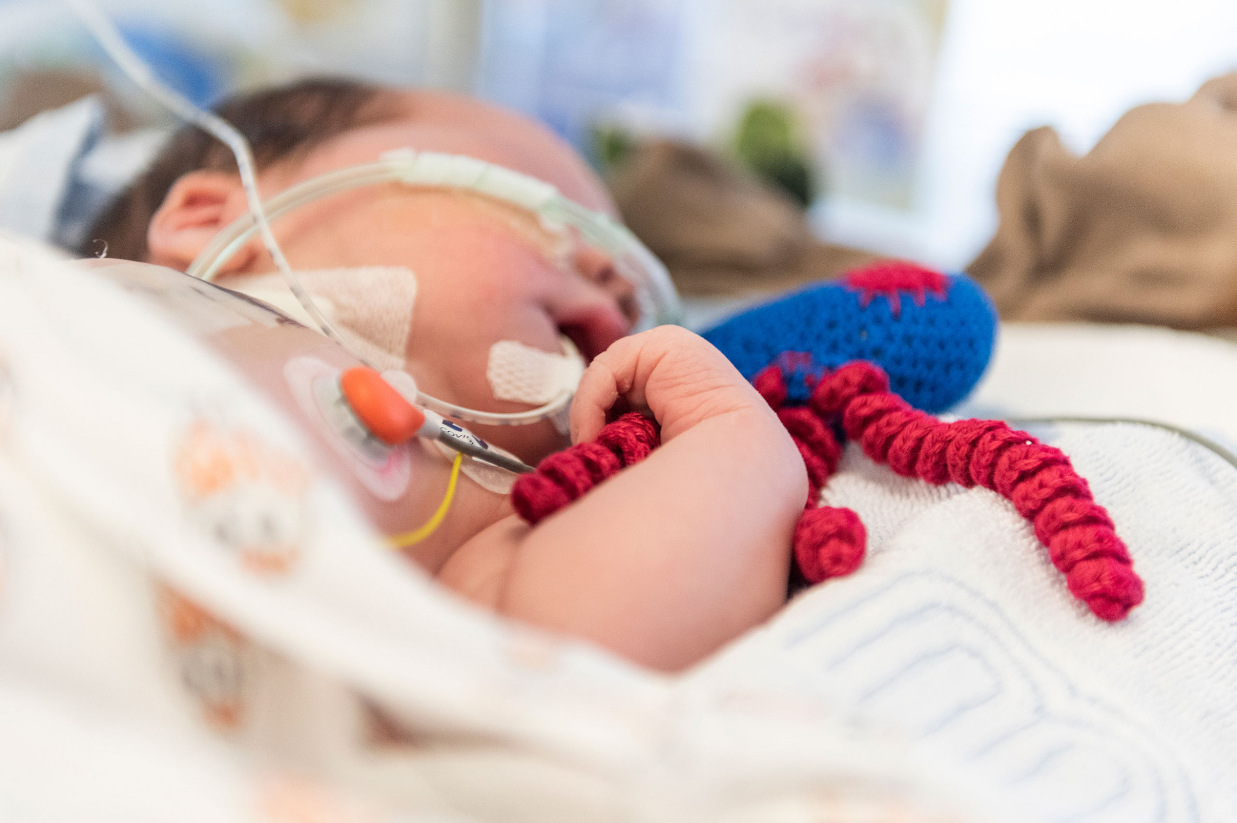 Ein neugeborenes Kind auf der Neonatologie hält ein gestricktes Herz in er Hand um den Greifreflex zu unterstützen