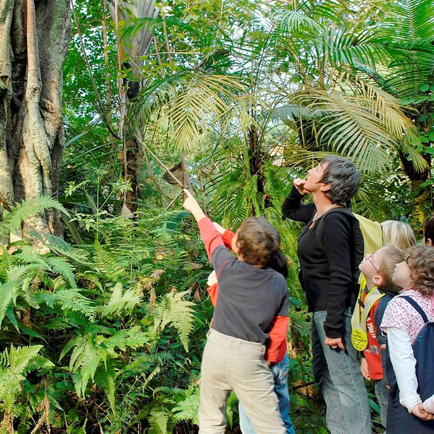 Kinder-Reha Schweiz, Patronatsseite, Kinder im Wald