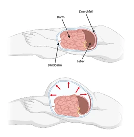 laparoskopischer Chirurgie_Forschung_viszeral