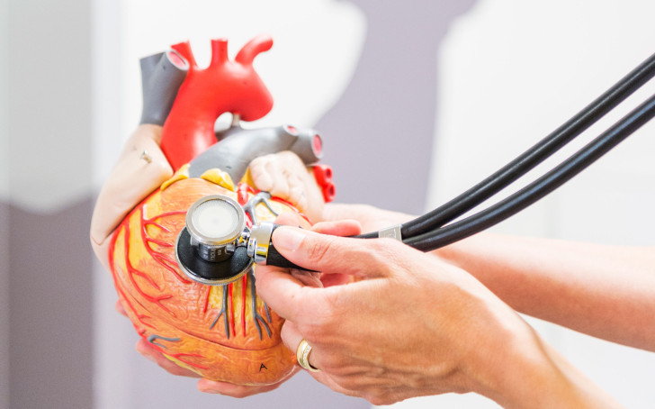 Ein Illustrationsbild von einem Stethoskop und einem Herzmodel 