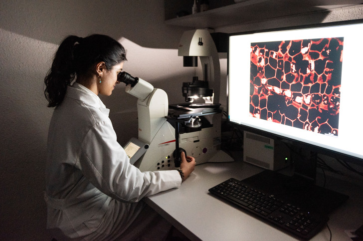 Eine Forscherin schaut in den Microskop rein